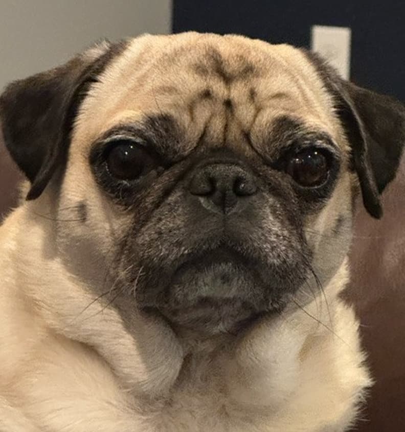 Jewel's Profile Image